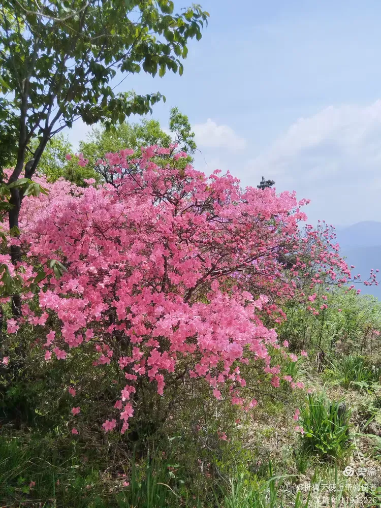 英山县天马寨风景区游记